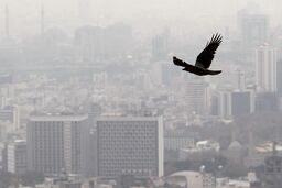 شهرداری تهران باید برای اصلاح طرح کاهش آلودگی هوا اقدام  فوری کند