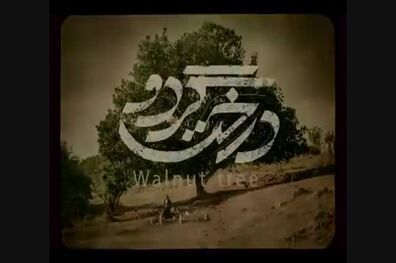 دعوت فیلم سینمایی «درخت گردو» به جشنواره مسکو