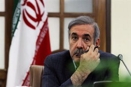 اقدامات امنیتی نهاد ریاست جمهوری با هماهنگی سپاه و وزارت اطلاعات است