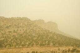 ایجاد گرد و خاک و کاهش کیفیت هوا در استان بوشهر