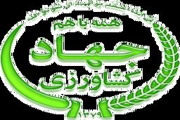 تراز تجاری منفی در عرصه کشاورزی کمی بهبود یافته است