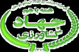 تراز تجاری منفی در عرصه کشاورزی کمی بهبود یافته است