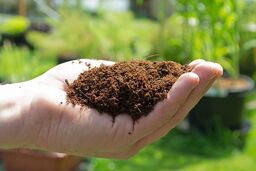 واردات 70 درصدی کود کذب است
