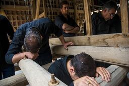 مراسم نخل‌برداری شهادت امام حسین(ع) در یزد برگزار شد