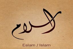 تعادل در اسلام اصل مهمی است