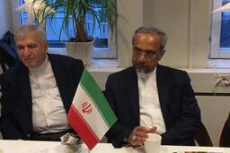 استقبال وزیر تجارت سوئد از پیشنهاد نهاوندیان برای ایجاد شعبه بانک های ایرانی در استکهلم