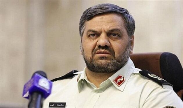 بهبود عملکرد پلیس با استفاده از سگ‌های جسدیاب و زنده یاب در مأموریت‌های پلیس آگاهی
