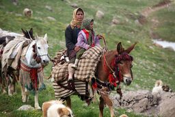  330 میلیارد تومان وام به عشایر اختصاص داده ایم