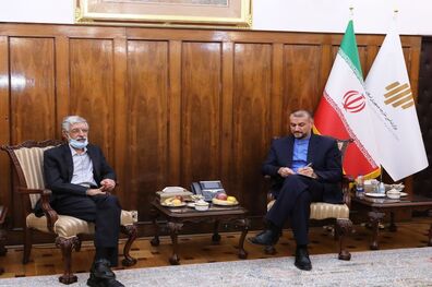 زبان فارسی از مولفه‌های اقتدار تمدنی جمهوری اسلامی ایران است