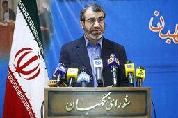 کدخدایی: نگفتیم شورای نگهبان بر مجلس نظارت کند / سیستم خودنظارتی کارآمد نیست 