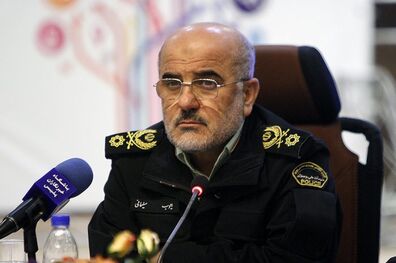 تاکنون هیچ گونه مورد امنیتی خاصی در اربعین نداشتیم