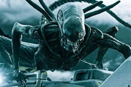 نامزدهای جلوه های تصویری اسکار معرفی شدند