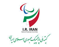 برگزاری دومین جلسه بررسی اساسنامه جدید کمیته ملی پارالمپیک در کمیسیون اجتماعی دولت