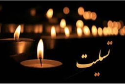پیام تسلیت مدیر امور حوزه مدیرعامل و روابط عمومی بانک سینا به مناسبت درگذشت خبرنگاران حوزه محیط زیست