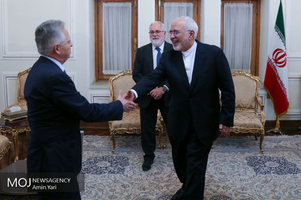دیدار محمد جواد ظریف، وزیر امور خارجه جمهوری اسلامی ایران با میگل آریاس کانیته، کمیسیونر انرژی اتحادیه اروپا