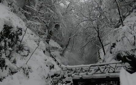 عکس/ آبشار برفی کبودوال