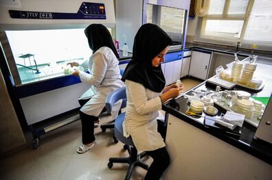 شرکت های دانش بنیان ایرانیان غیرمقیم در پارک فناوری پردیس راه اندازی می شوند