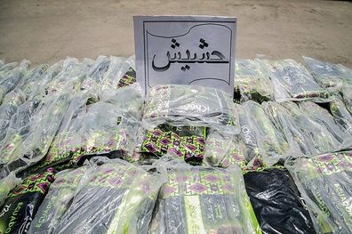 بیش از ۱۶۰ کیلو تریاک و حشیش در پایتخت کشف شد