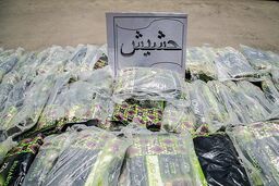 بیش از ۱۶۰ کیلو تریاک و حشیش در پایتخت کشف شد