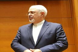 برنامه‌های کاری ظریف در اولین روز سفر به هند
