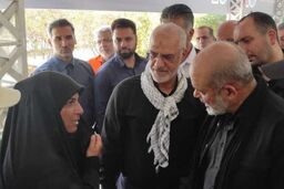 هیچ مشکلی برای بازگشت زوار وجود ندارد