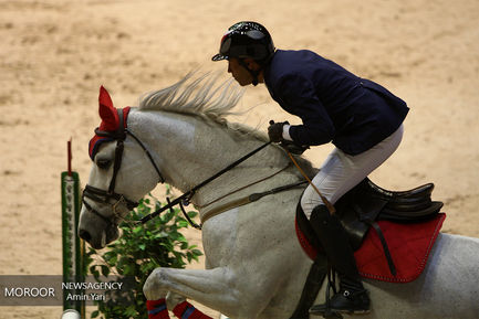 جشنواره ملی اسب‌ تهران