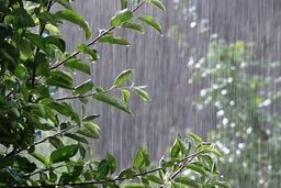 هواشناسی 11 مهر/وقوع رگبار باران در شمال و غرب کشور