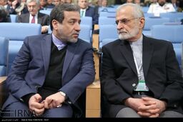 نظر رهبر معظم انقلاب استفاده از عراقچی در شورای راهبردی بود