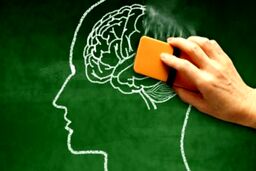 با تشخیص بیماری آلزایمر چه باید کرد؟

