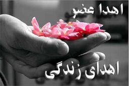 اهدای عضو جان 8 بیمار را در ارومیه نجات داد