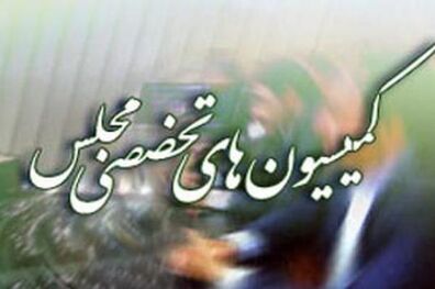 دستور کار کمیسیون های تخصصی مجلس اعلام شد