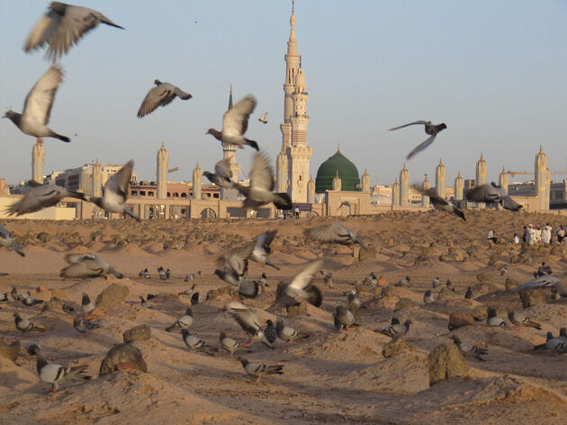 امروز سالگرد تخریب قربستان بقیع به دست آل سعود است