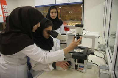 تعداد پژوهش‌سراهای دانش آموزی به ۶۰۰ منطقه افزایش می یابد