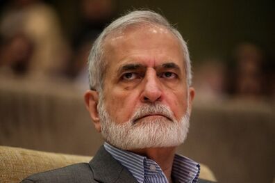 سپاه، ارتش ملی است و نمی‌توان هیچ ارتش ملی را گروه تروریستی محسوب کرد