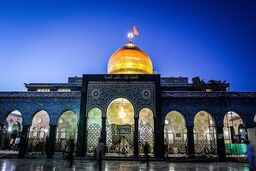 رباعیاتی در رثای عمه سادات: «سرمایه آل مصطفایی، زینب»