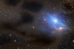 عکس روز ناسا/ سحابی بازتابی vdB 31
