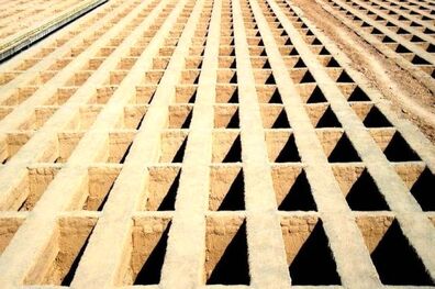 نفس بهشت زهرا به شماره افتاد
