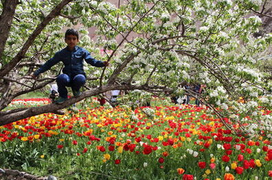 راهنمای جمع‌وجور برای ایرانگردی در تابستان