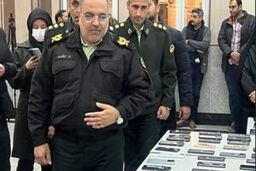 عقابی که موبایل خانم بازیگر را دزدید
