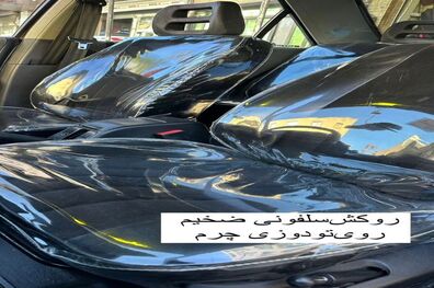 عکس/ تزئین عجیب بعد از خرید ماشین
