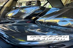 عکس/ تزئین عجیب بعد از خرید ماشین
