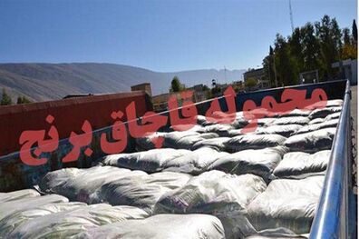 کشف بیش از یک میلیارد ریال برنج قاچاق در چهارمحال و بختیاری
