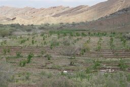 سالانه 2 میلیارد تن خاک کشور فرسوده می‌شود