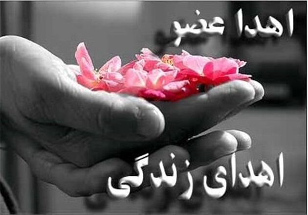 نجات زندگی 4 بیمار با اهدای عضو