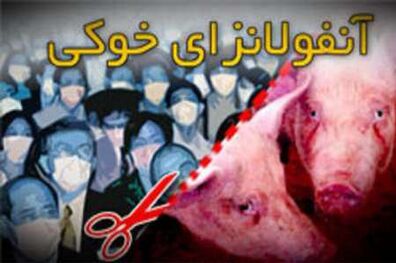100 نفر براثر ابتلا به بیماری آنفلوانزای خوکی در هند جان باختند