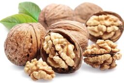 میانگین عملکرد گردو به میانگین جهانی نزدیک می شود