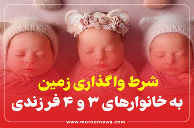 اینفوگرافیک/شرط واگذاری زمین به خانوارهای 3 و4 فرزندی