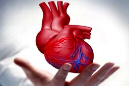 
چگونه قلب سالم داشته باشیم؟