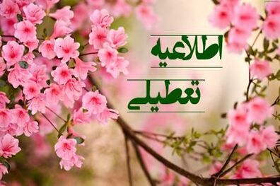 تصمیم‌گیری برای تعطیلی مدارس با وزارت بهداشت است