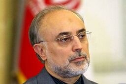 تبریک علی اکبر صالحی در پی انتصاب حجت‌الاسلام مروی
